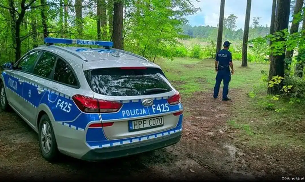 Wzrost zagrożeń związanych z fałszywymi aplikacjami tożsamościowymi