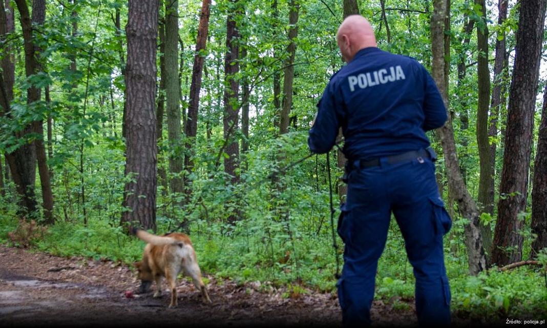 Dachowanie volkswagena w Puławach: 17-latek za kierownicą bez uprawnień