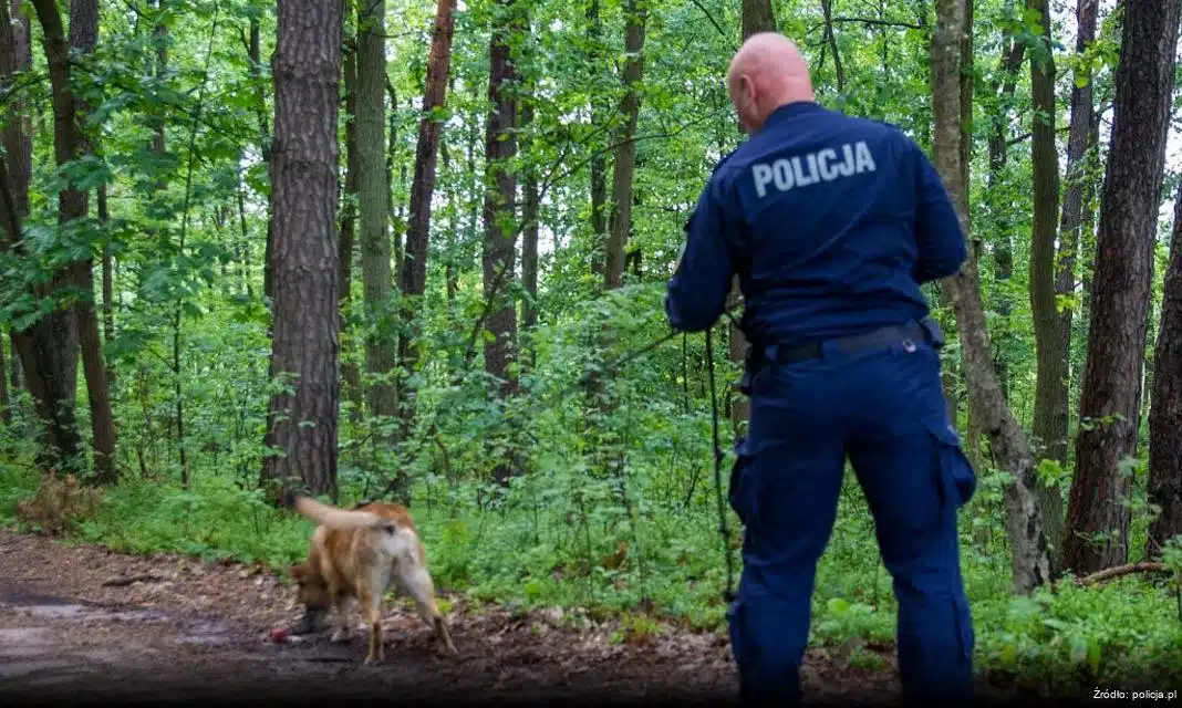 Policjanci z Nałęczowa edukują przedszkolaków w Drzewcach o bezpieczeństwie