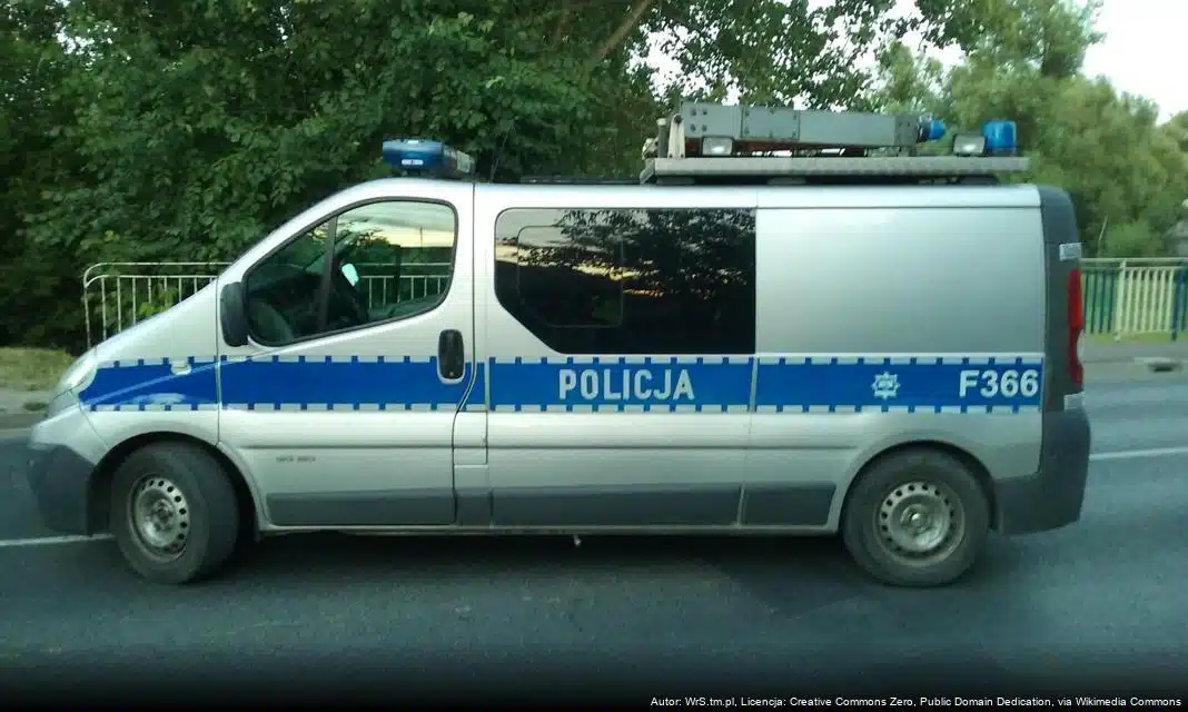 Poważne zdarzenie drogowe na S17 w powiecie puławskim